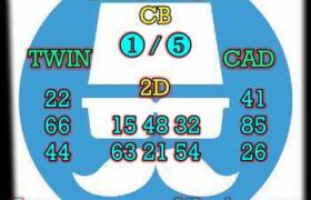 prediksi china 15 november 2023