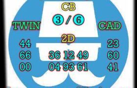 prediksi hk 11 juni 2024