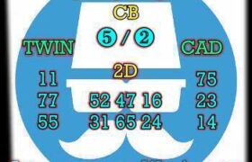 prediksi taiwan 24 november 2025